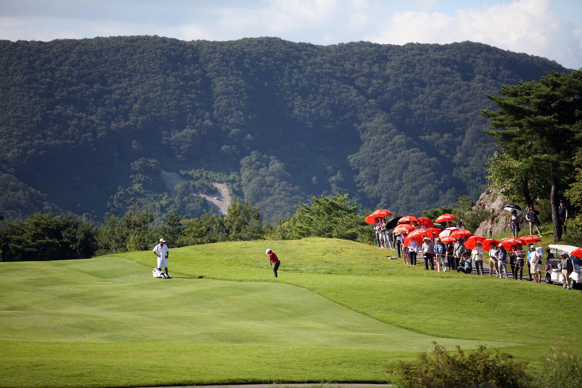 Steven's Golf Course - Professional Golf Event